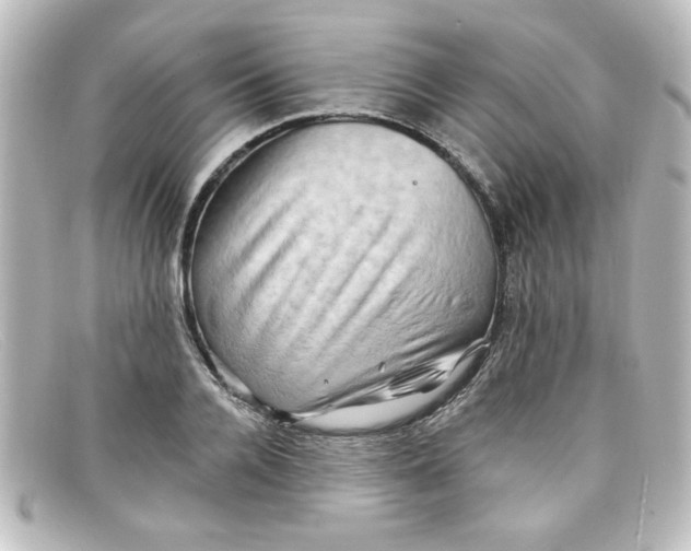 X0000098130936200805080955