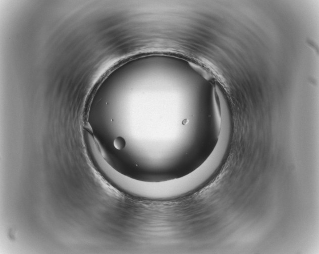 X0000098130942200805080955