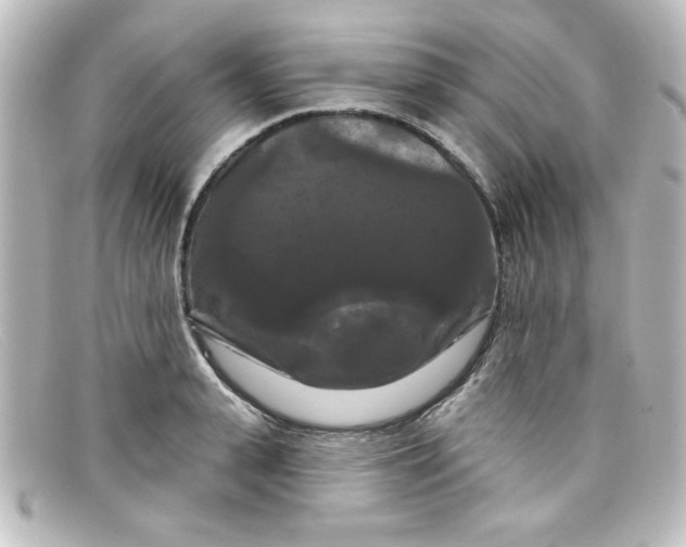 X0000098130943200805080955