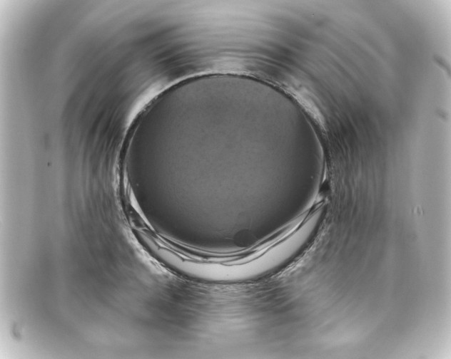 X0000098130944200805080955