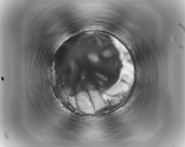 X0000098130945200805080955