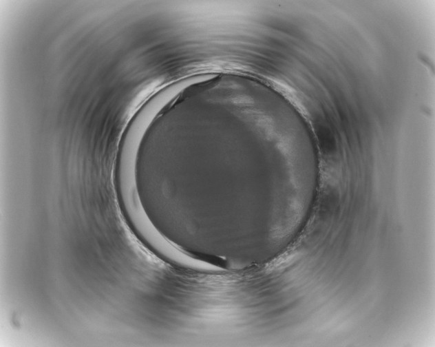 X0000098130946200805080955