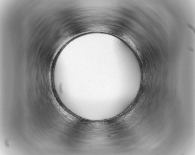 X0000098130947200805080955