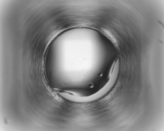 X0000098130948200805080955