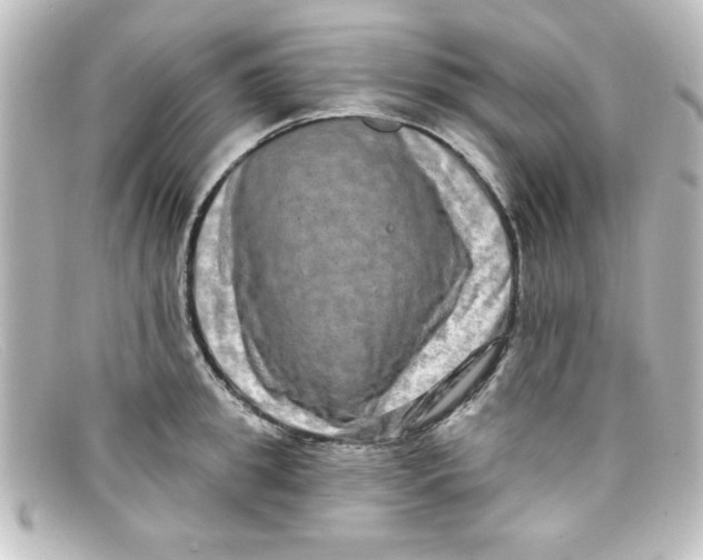 X0000098130949200805080955