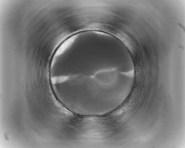 X0000098130950200805080955