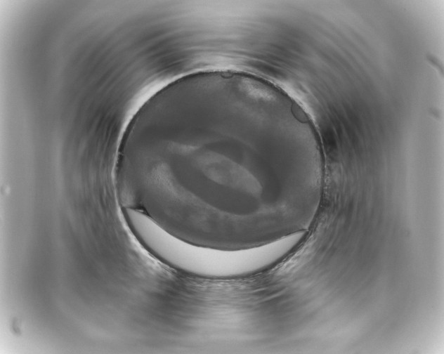 X0000098130951200805080955