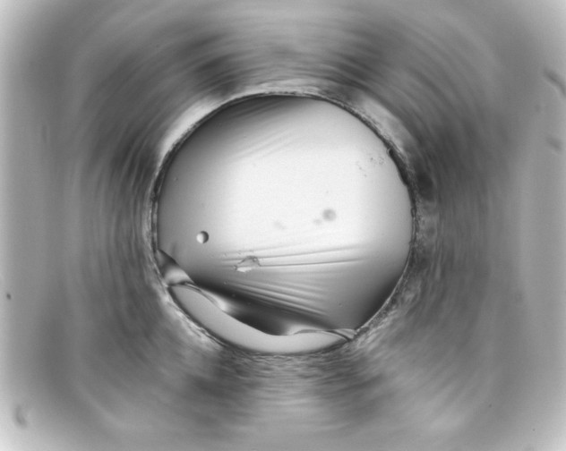 X0000098130952200805080955