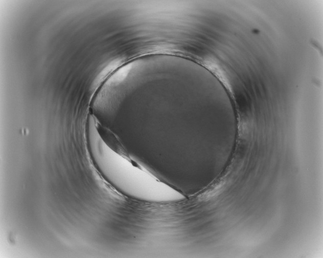 X0000098130954200805080955