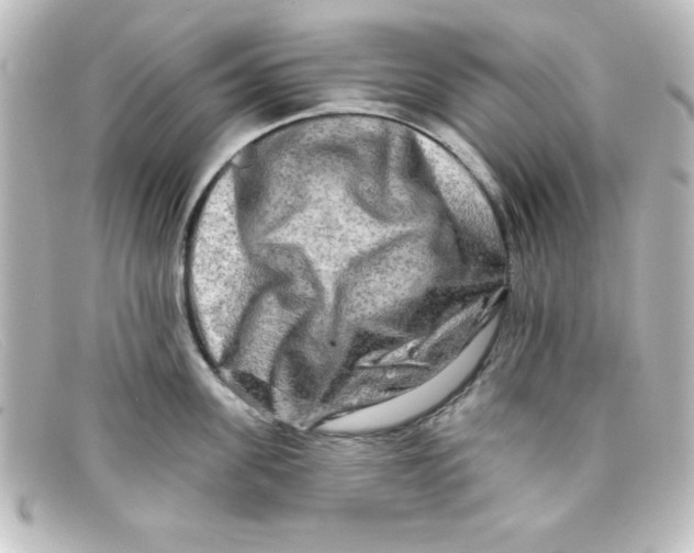 X0000098130955200805080956