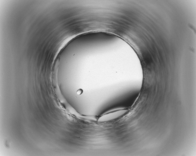 X0000098130956200805080956