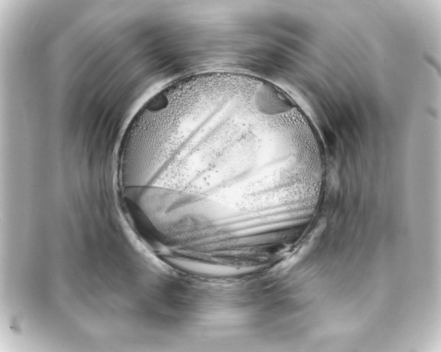 X0000098130957200805080956
