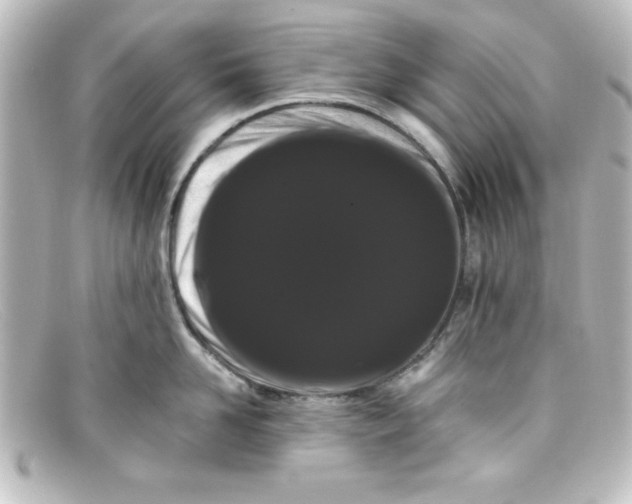 X0000098130958200805080956