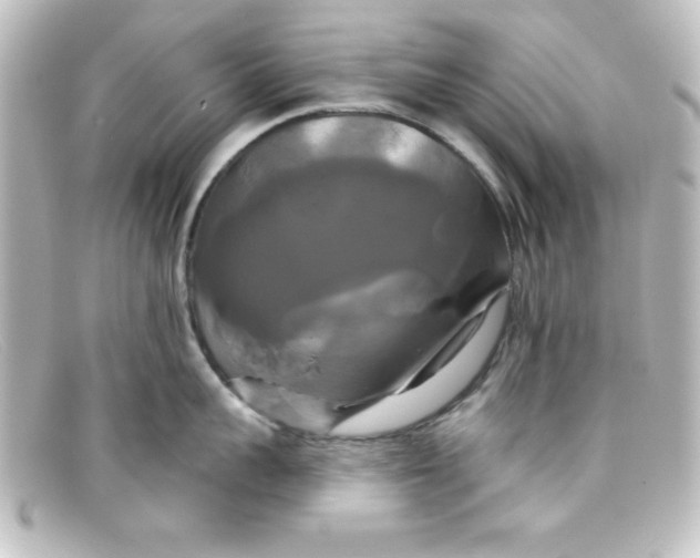 X0000098130959200805080956