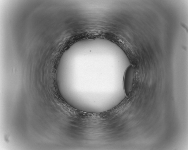 X0000098130961200805080955