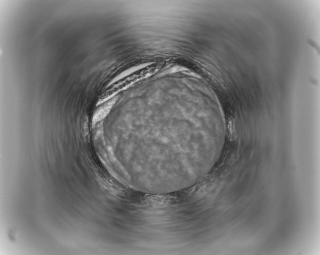 X0000098130963200805080955
