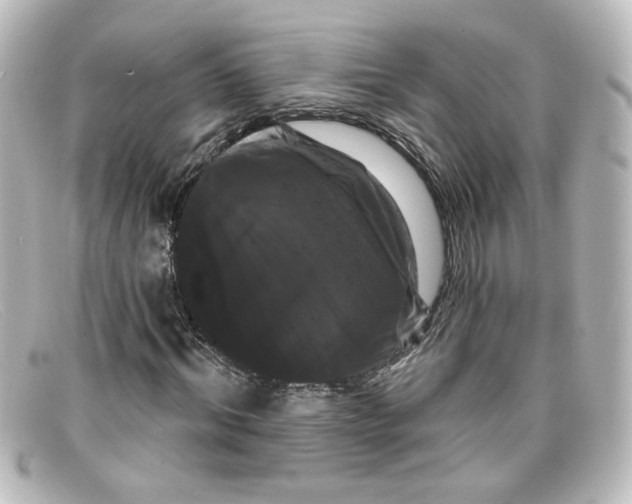 X0000098130964200805080955