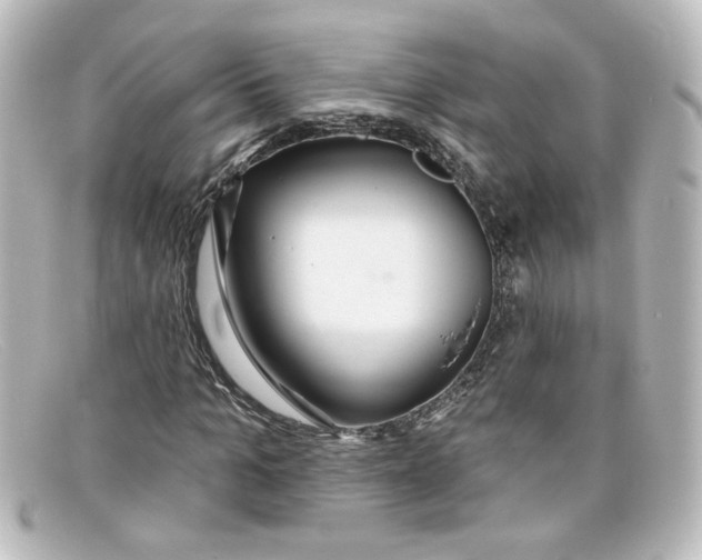 X0000098130965200805080955