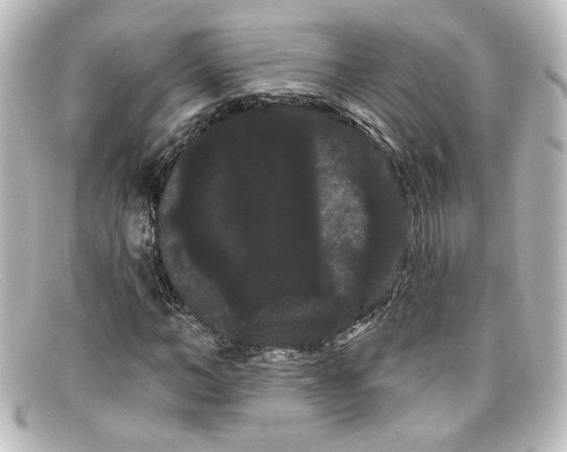 X0000098130966200805080955