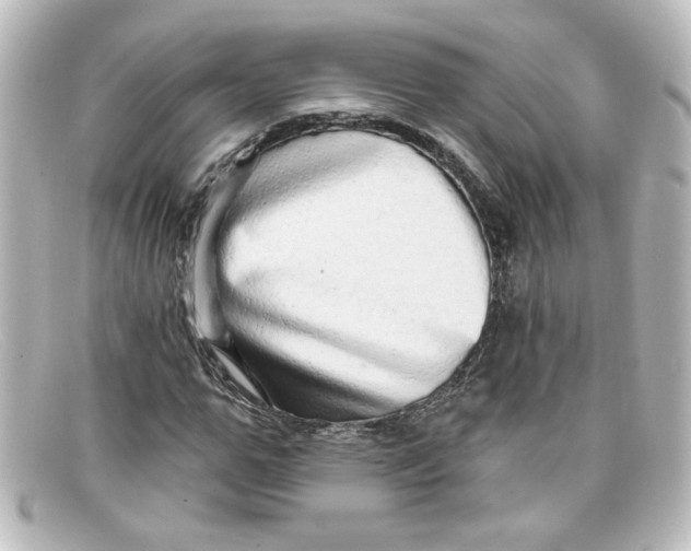 X0000098130967200805080955