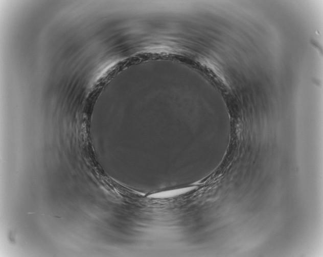 X0000098130968200805080955