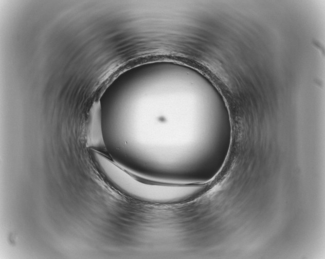 X0000098130969200805080955
