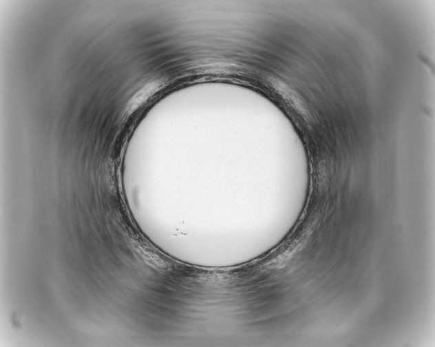 X0000098130970200805080955
