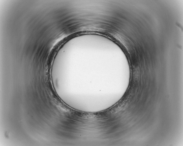 X0000098130971200805080955