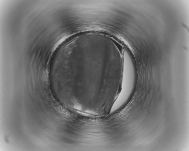 X0000098130975200805080955