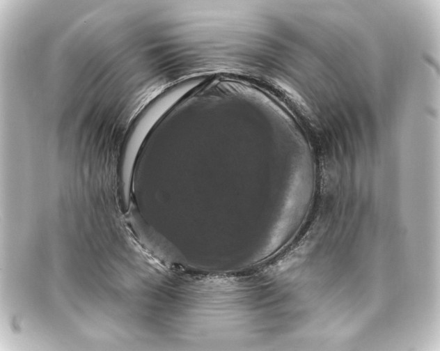 X0000098130977200805080955