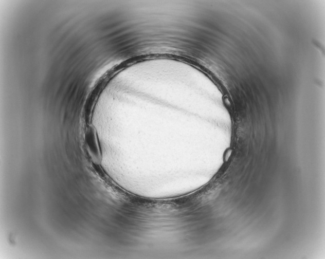 X0000098130979200805080955