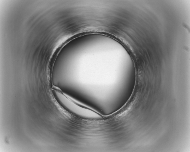 X0000098130981200805080955