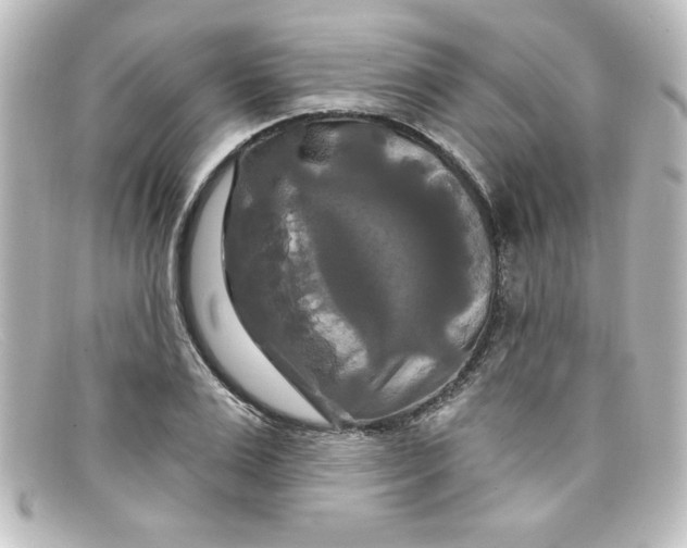 X0000098130983200805080955