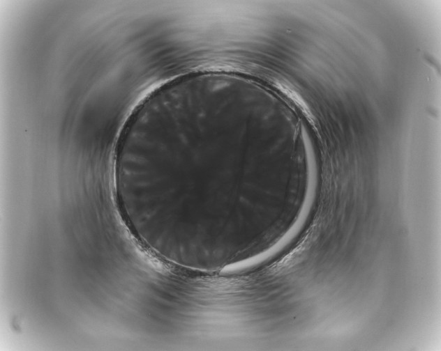 X0000098130984200805080955