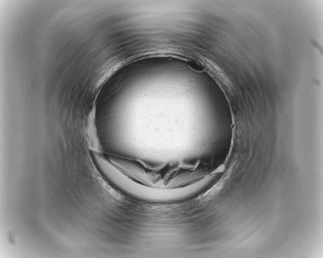 X0000098130985200805080955