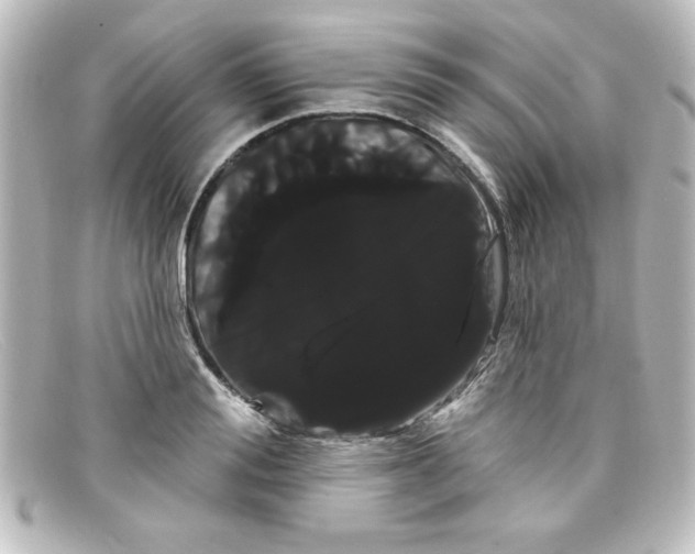 X0000098130988200805080955