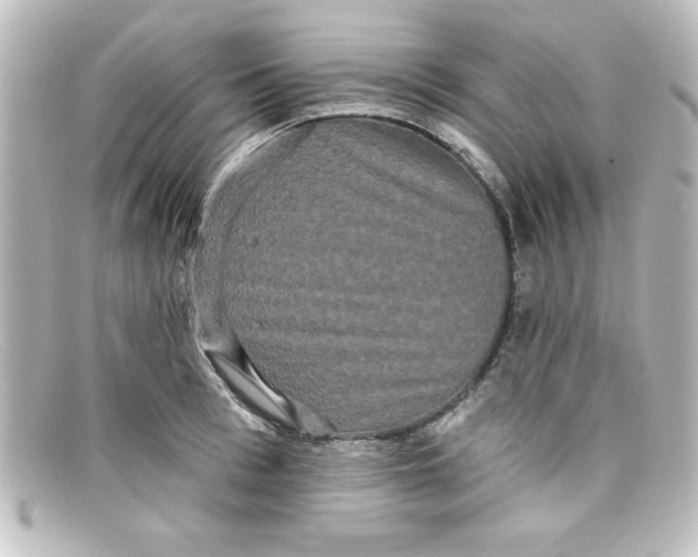 X0000098130993200805080954