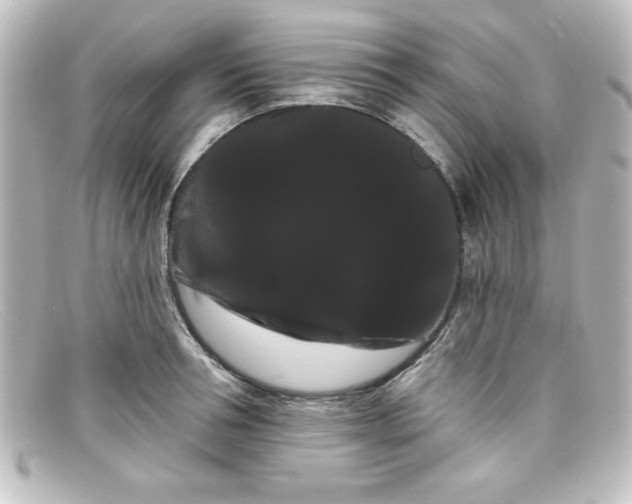 X0000098130994200805080954