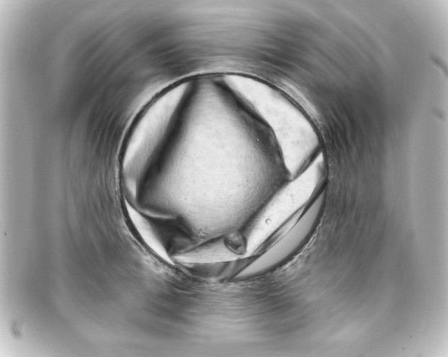 X0000098130996200805080954