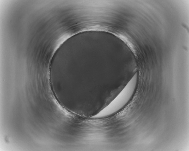 X0000098130998200805080954