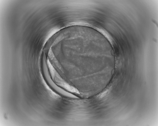 X0000098130999200805080954