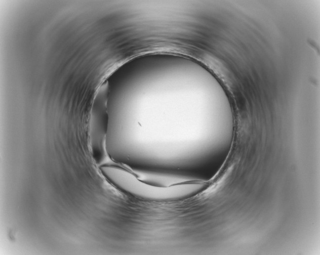 X0000098131001200805080954