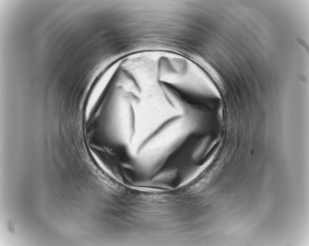 X0000098131004200805080954