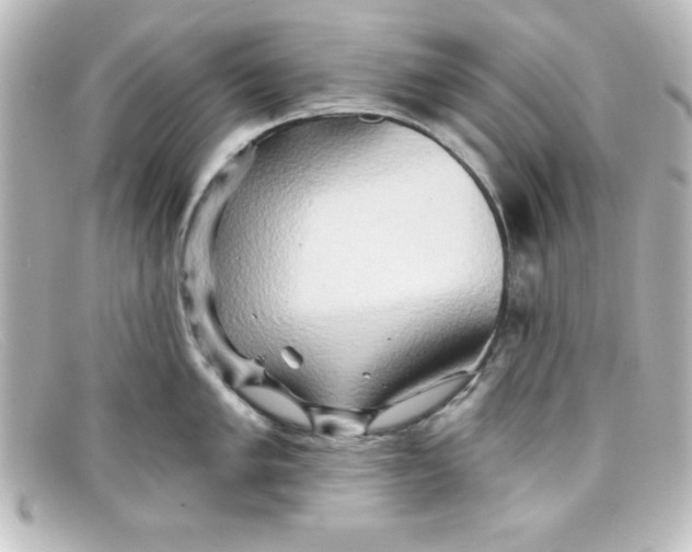 X0000098131005200805080954