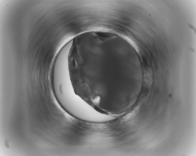 X0000098131007200805080954