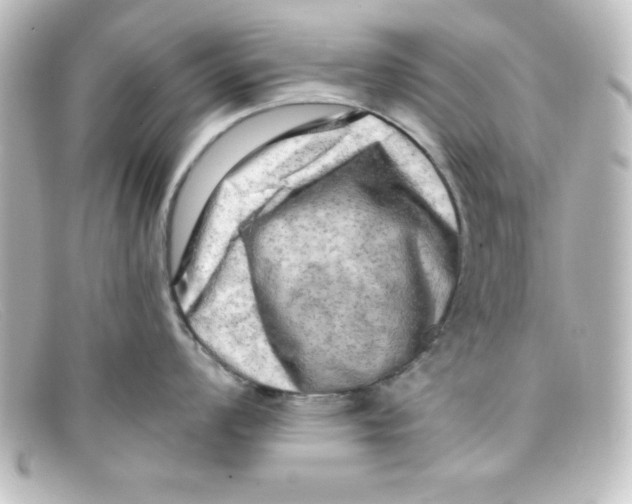 X0000098131008200805080954