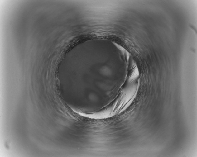 X0000098131009200805080954
