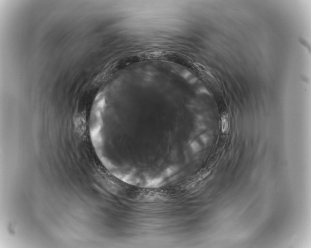 X0000098131011200805080954