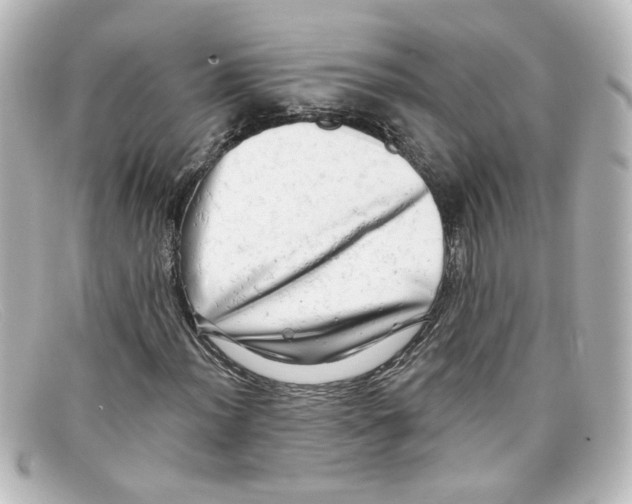 X0000098131012200805080954