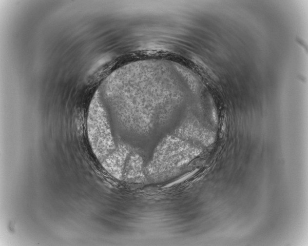 X0000098131014200805080954
